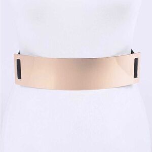Metallic Plaque Elastic Statement Belt